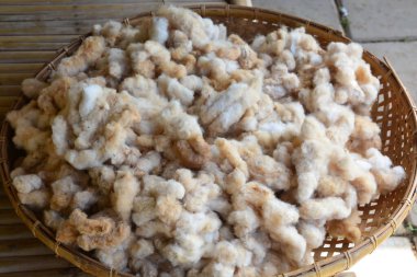 Bambu hasır sepetindeki postu, dikkat et. Sığ alan derinliğinde odaklan.