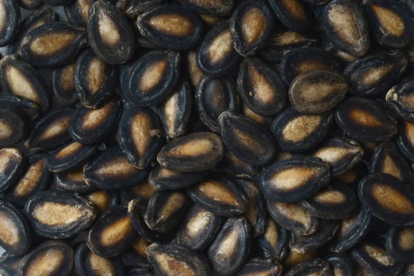 Семена Арбуза Связаны Укреплением Иммунитета Улучшением Здоровья Благодаря Присутствию Магния — стоковое фото