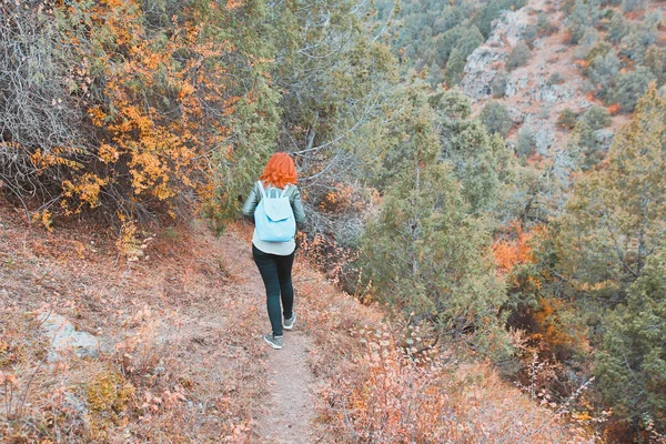 Female hiker walking in mountains forest. — Stock Photo, Image