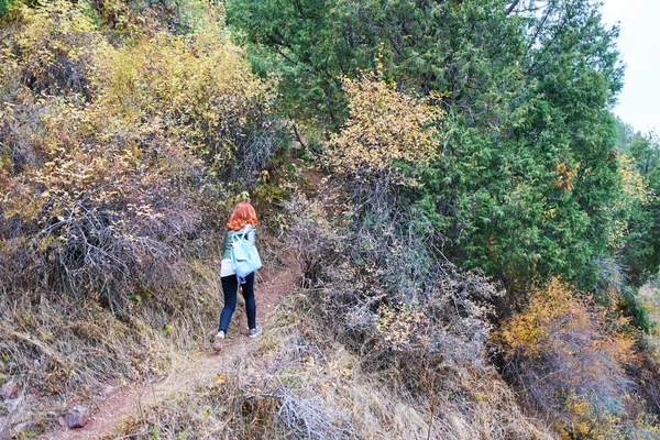 Escursionista femminile a piedi nella foresta di montagna. — Foto Stock