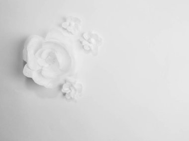 Beyaz bir arka plan üzerinde beyaz çiçekler. Kartı her şeyi kağıttan yapılmış. Kutlama için bir yer.