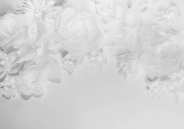 Beyaz bir arka plan üzerinde beyaz çiçekler. Kartı her şeyi kağıttan yapılmış. Kutlama için bir yer.