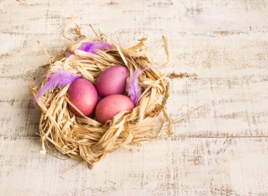 Paskalya yumurta yuvada, tatil dekorasyonu