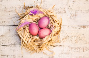 Paskalya yumurta yuvada, tatil dekorasyonu