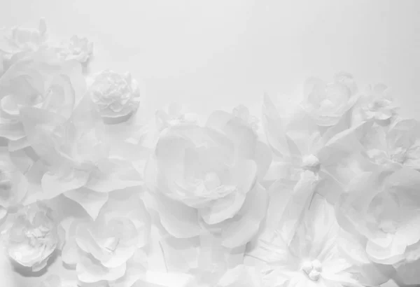 Białe Kwiaty Białym Tle Card Wszystko Jest Wykonane Papieru Miejsce — Zdjęcie stockowe