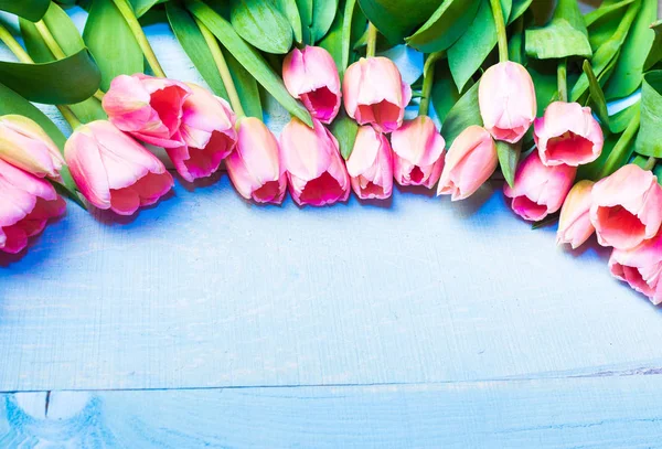Güzel pembe lale. Tatil arka plan