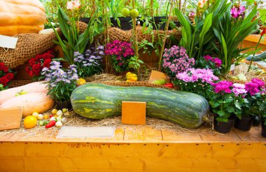 sonbaharda hasat. parlak kabaklar ve çiçekler
