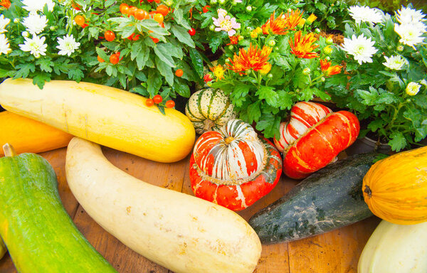 Сезонные фермеры продают товары. Красочные тыквы для осенних праздничных украшений на сельскохозяйственной ярмарке. Концепция сбора урожая
