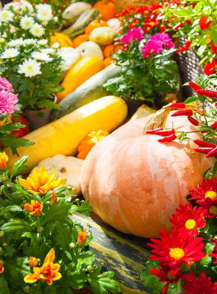 Seasonal Farmers Market Goods Display Colorful Pumpkins Autumn Holiday Decorations — Stock Photo, Image