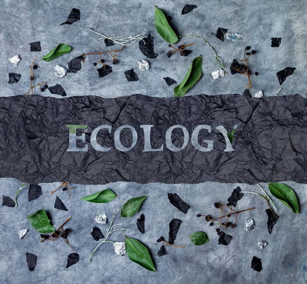 Ecology Pollution Environment Debris Pavement — Stock Photo, Image