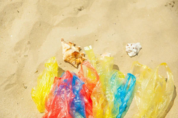 在沙滩上五颜六色的外包装袋和贝壳的顶视图 — 图库照片