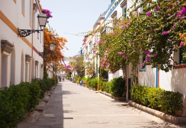 Mogan, Gran Canaria, İspanya'nın tipik mimarisi ve bitki örtüsü.