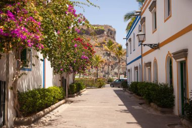 Mogan, Gran Canaria, İspanya'nın mimarisi ve bitki örtüsünün ayrıntıları.