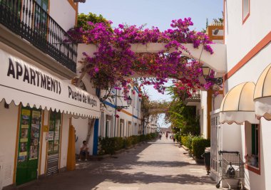 Mogan, Gran Canaria, İspanya'nın tipik mimarisi ve bitki örtüsü.