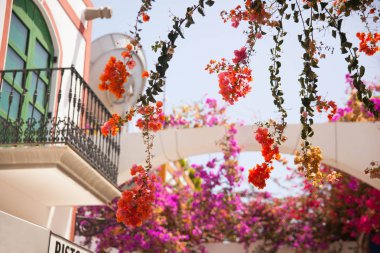 Mogan, Gran Canaria, İspanya'nın mimarisi ve bitki örtüsünün ayrıntıları.