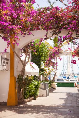 Mogan, Gran Canaria, İspanya'nın mimarisi ve bitki örtüsünün ayrıntıları.