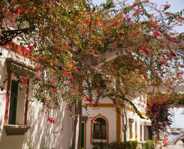 Mogan, Gran Canaria, İspanya'nın tipik mimarisi ve bitki örtüsü.