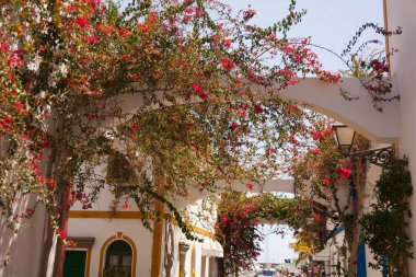 Mogan, Gran Canaria, İspanya'nın tipik mimarisi ve bitki örtüsü.