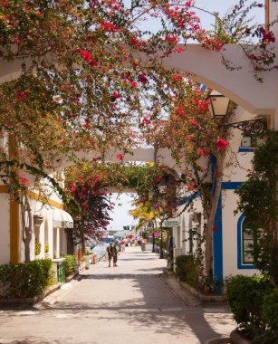 Mogan, Gran Canaria, İspanya'nın tipik mimarisi ve bitki örtüsü.