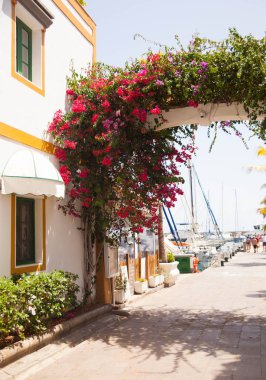 Mogan, Gran Canaria, İspanya'nın tipik mimarisi ve bitki örtüsü.