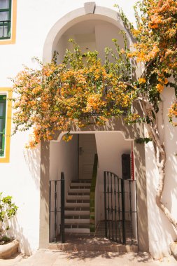 Mogan, Gran Canaria, İspanya'nın mimarisi ve bitki örtüsünün ayrıntıları.