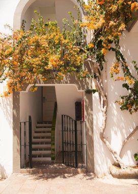 Mogan, Gran Canaria, İspanya'nın mimarisi ve bitki örtüsünün ayrıntıları.