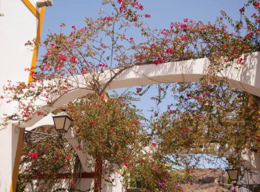 Mogan, Gran Canaria, İspanya'nın mimarisi ve bitki örtüsünün ayrıntıları.
