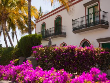 Mogan, Gran Canaria, İspanya'nın mimarisi ve bitki örtüsünün ayrıntıları.