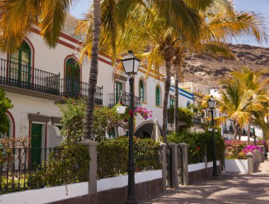 Mogan, Gran Canaria, İspanya'nın mimarisi ve bitki örtüsünün ayrıntıları.