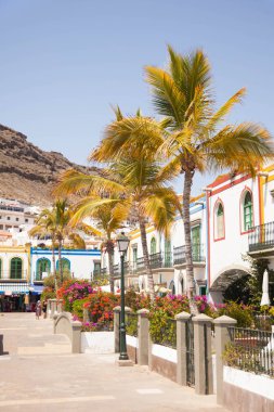 Mogan, Gran Canaria, İspanya'nın tipik mimarisi ve bitki örtüsü.