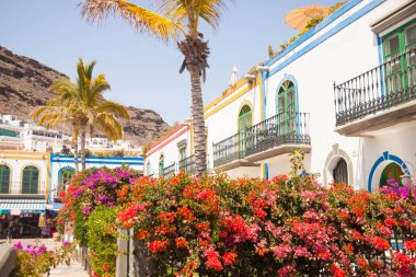 Mogan, Gran Canaria, İspanya'nın tipik mimarisi ve bitki örtüsü.