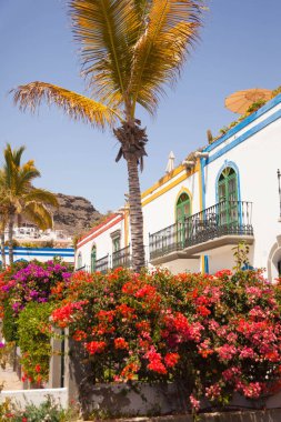 Mogan, Gran Canaria, İspanya'nın mimarisi ve bitki örtüsünün ayrıntıları.