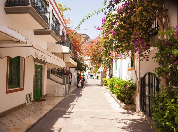 Mogan, Gran Canaria, İspanya'nın tipik mimarisi ve bitki örtüsü.