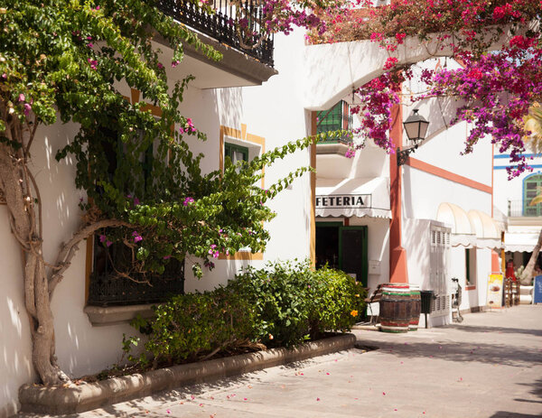 Details of architecture and flora of Mogan, Gran Canaria, Spain.