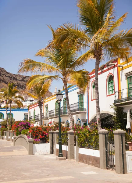 Mogan, Gran Canaria, İspanya'nın mimarisi ve bitki örtüsünün ayrıntıları.