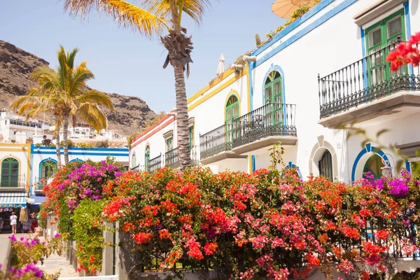 Mogan, Gran Canaria, İspanya'nın tipik mimarisi ve bitki örtüsü.