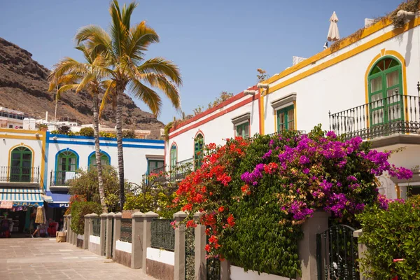 Mogan, Gran Canaria, İspanya'nın tipik mimarisi ve bitki örtüsü.