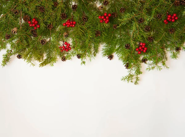 Christmas New Year Background Fir Tree Branches Red Berries Cones — Stock Photo, Image