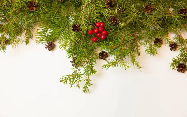 Christmas New Year Background Fir Tree Branches Red Berries Cones — Stock Photo, Image