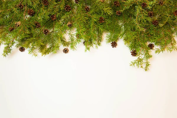 Fondo Navidad Año Nuevo Ramas Conos Abeto Sobre Fondo Blanco —  Fotos de Stock