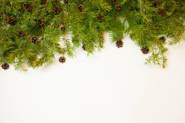 圣诞节或新年背景 冷杉分枝和白色背景的球果 — 图库照片