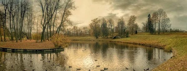 Pavlovsky parkında sonbahar yeşilliği, Pavlovsk, Saint Petersburg, Rusya