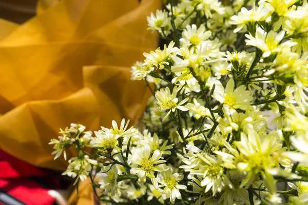 Bouquet of flowers. Summer flower mix. Close up