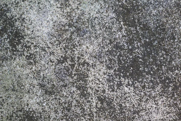 灰色コンクリート テクスチャ モノクロの背景 — ストック写真