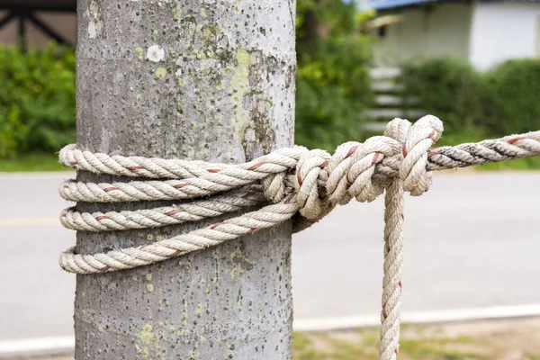 Close up Rope tied around a tree trunk in front of blurred natural background. Country style.