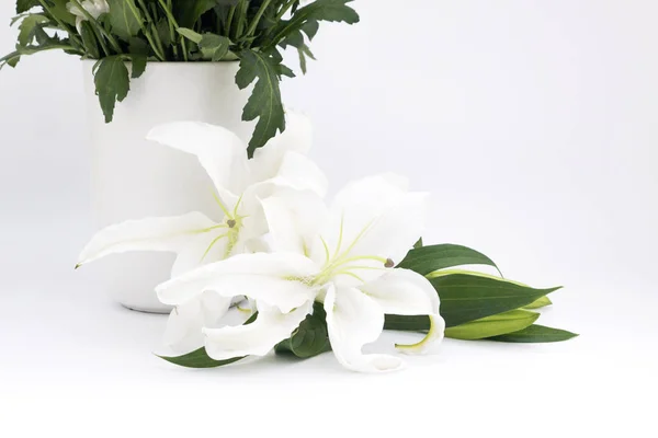 Buquê Flores Fundo Branco — Fotografia de Stock
