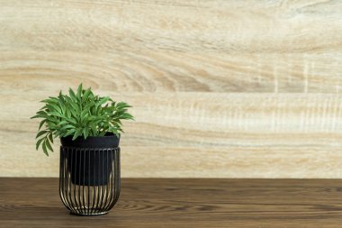 Ahşap masa, kopya alanı ile odada küçük hafif kahverengi renk üzerinde yapay ahşap saksı.