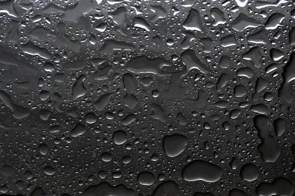 Wassertropfen Auf Schwamm Auf Schwarzem Hintergrund — Stockfoto