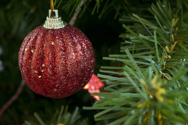 Bela Bola Vermelha Natal Pendurada Árvore Natal Foco Seletivo Conceito — Fotografia de Stock