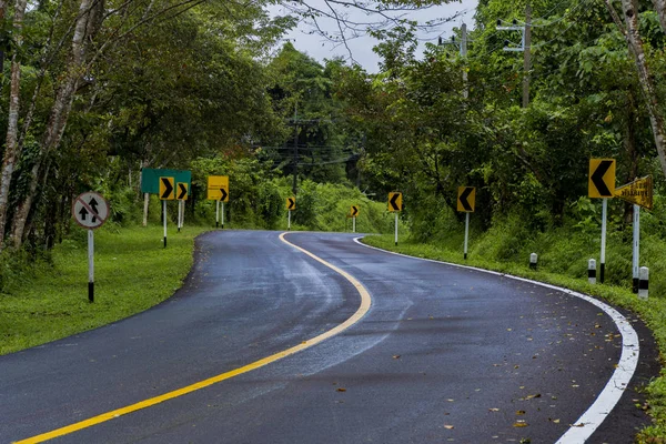 Duas Faixas Vazias Atravessam Duas Florestas Verdes Sinais Estrada — Fotografia de Stock